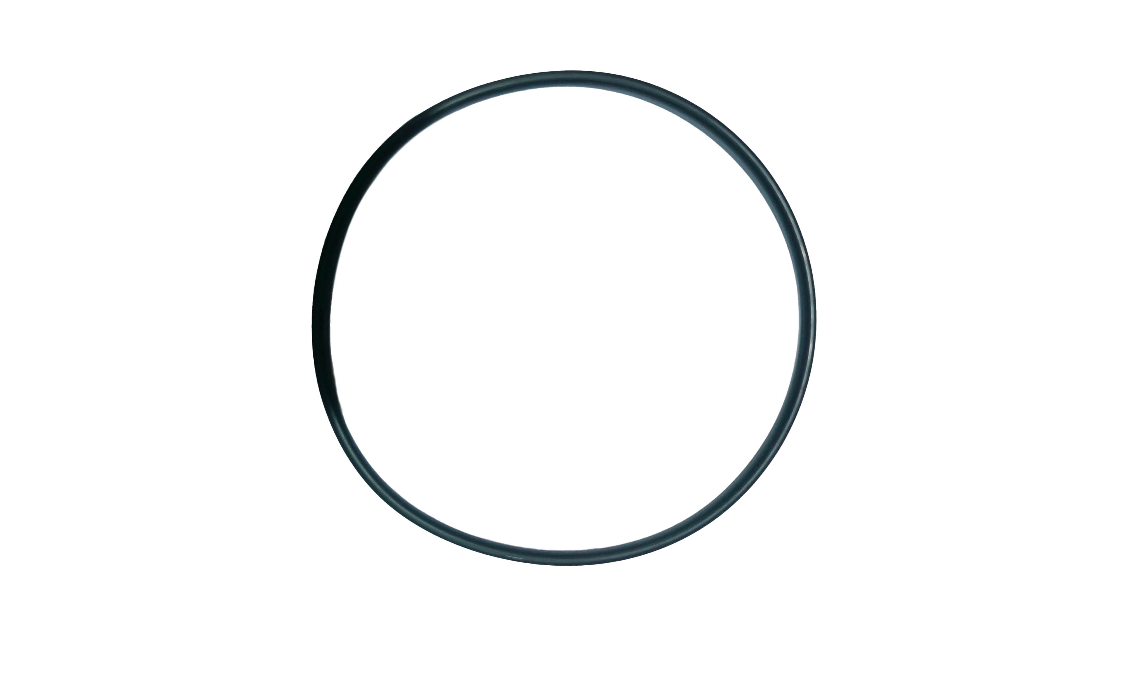 Уплотнительное кольцо PS2988-248