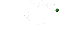 Плита 201-70-81A50 Komatsu