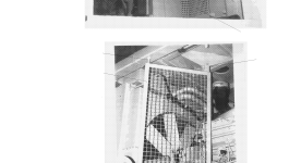 Фиксатор 897 483 40 Komatsu