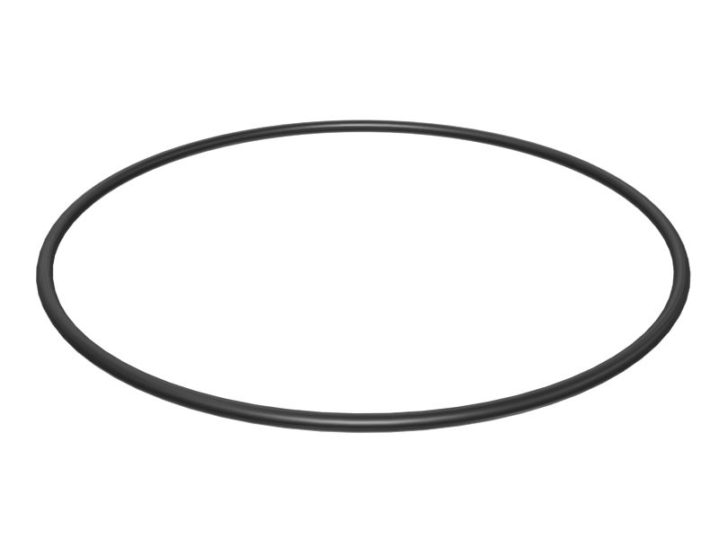 131-0074:Уплотнительное кольцо с внутренним диаметром 124,50 мм