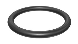 095-1612:Уплотнительное кольцо с наружным диаметром 50 мм