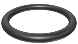 121-0145:Уплотнительное кольцо с внутренним диаметром 28,17 мм