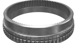 557-1556:ЗУБЧАТЫЙ ВЕНЕЦ