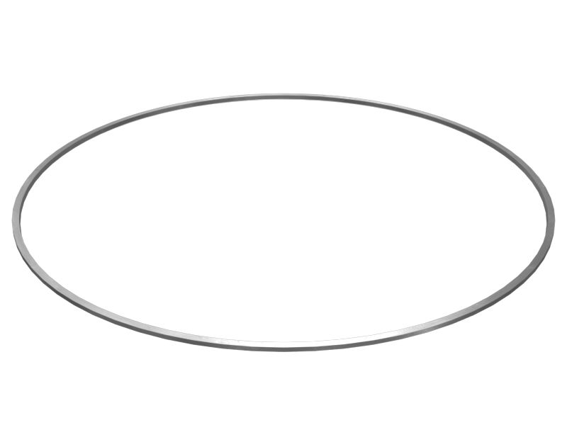 8P-2019:Внутреннее уплотнительное кольцо