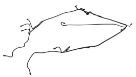 366-9416:ЖГУТ ПРОВОДОВ В СБОРЕ