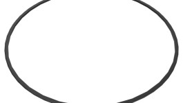 220-4336:Внутренний диаметр тормозного уплотнения 279,16 мм