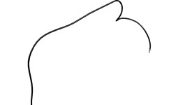 146-6290:Шланг в сборе